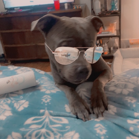 ‼️‼️ LIVE SHOW SCHEDULE ‼️‼️ - Picture 5 of 16